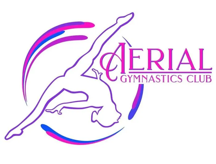Aerial Gymnastics Club - Torrance Picture 3
