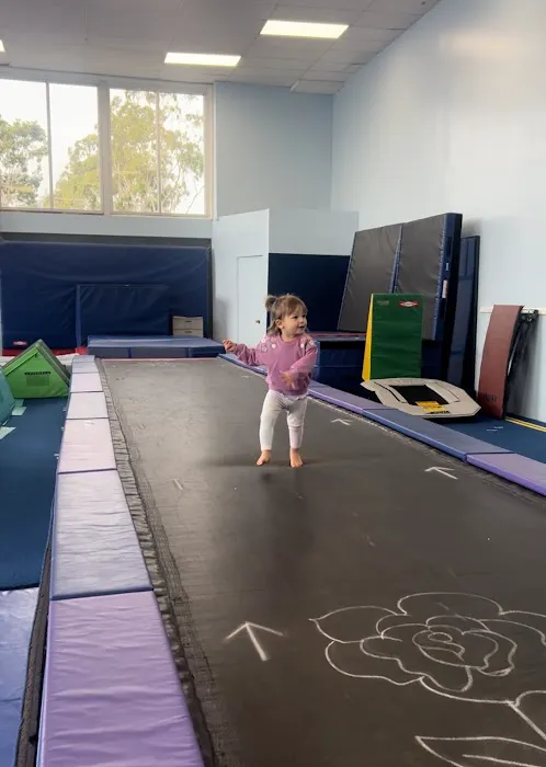Aerial Gymnastics Club - Torrance Picture 4