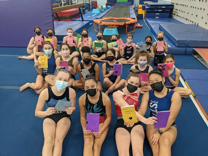 Aerial Gymnastics Club - Torrance Picture 1