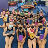 Aerial Gymnastics Club - Torrance ico