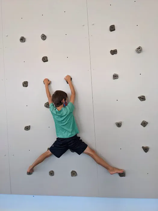 Aerial Gymnastics Club - Torrance Picture 5