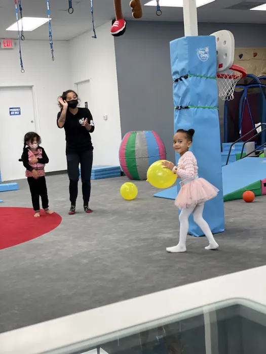 My Gym Torrance Palos Verdes Picture 8