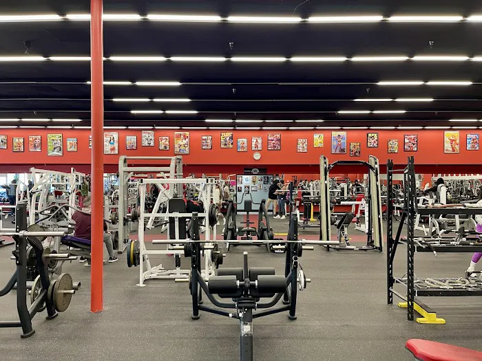 Dave Fisher's Powerhouse Gym Torrance Picture 5