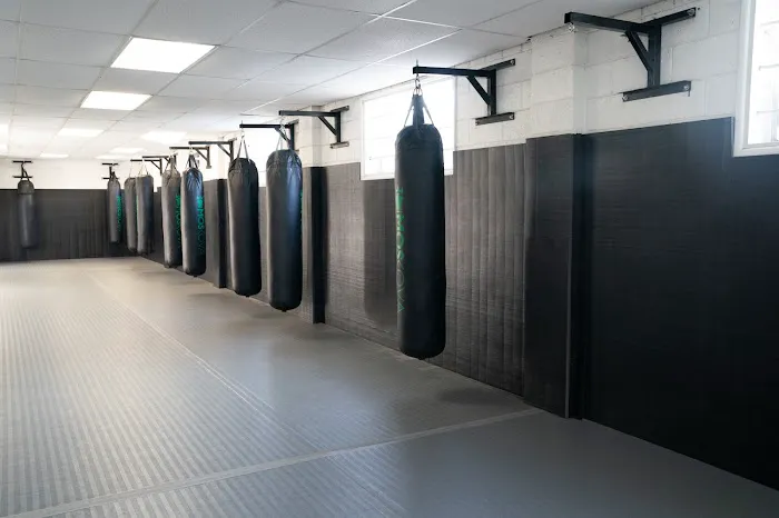 Black House MMA Picture 1