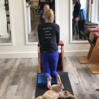 Pilates Institute of Southern California ico