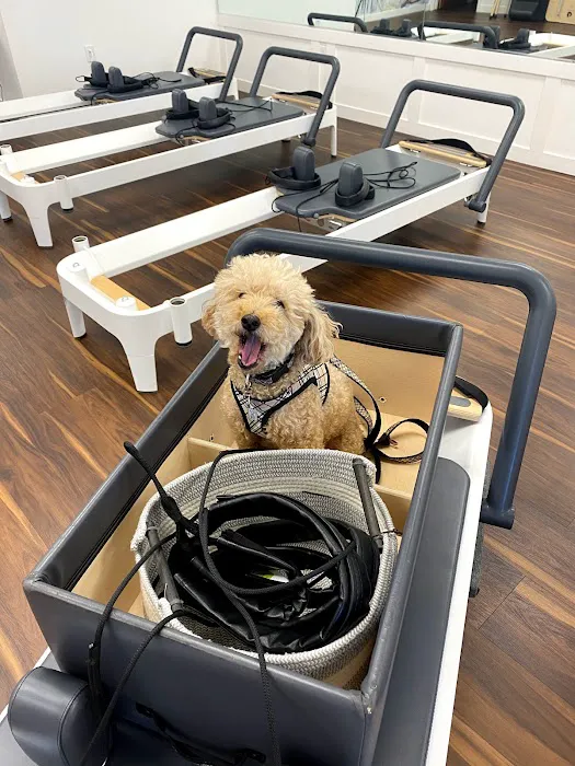 ASPYN METHOD Picture 10