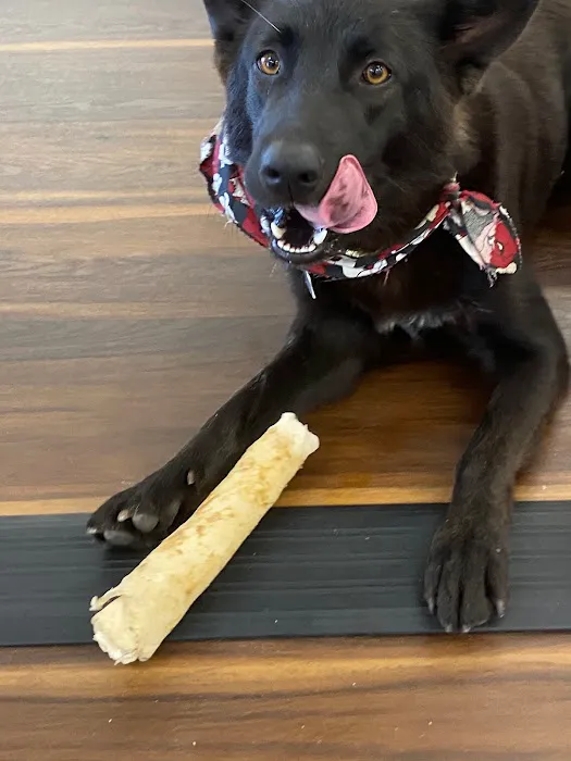 ASPYN METHOD Picture 3