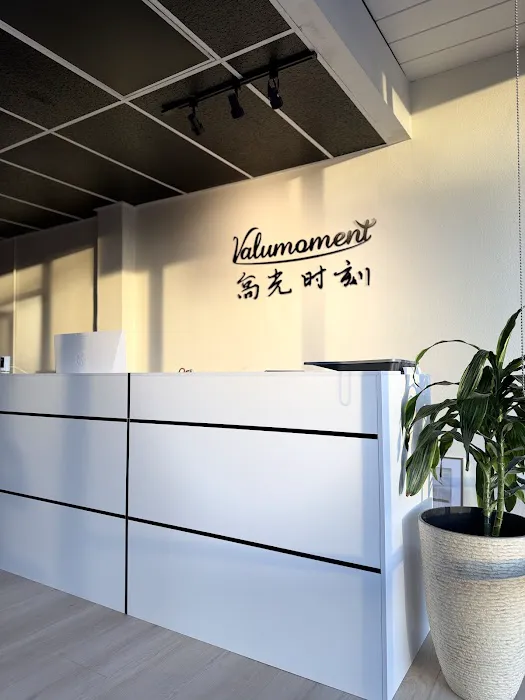 VALUMOMENT 高光时刻 Picture 1