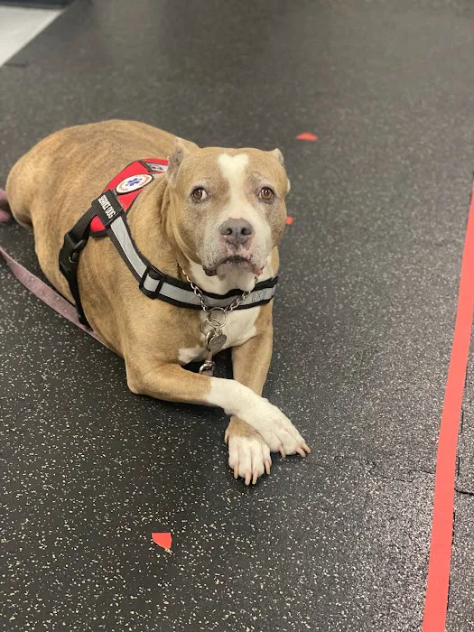 I AM Movement Picture 1