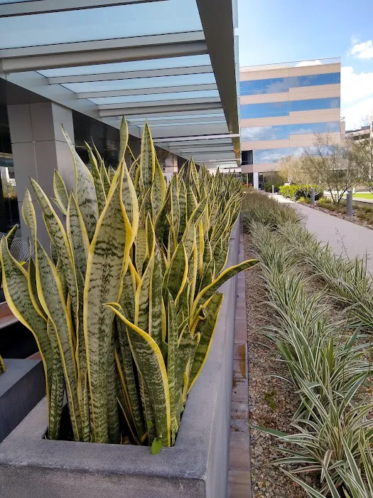 Club Pilates Teacher Training Picture 7