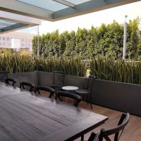 Club Pilates Teacher Training ico