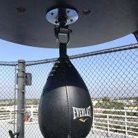 Equinox Sports Club Orange County ico