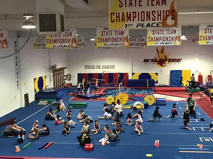 Wildfire Gymnastics Picture 10