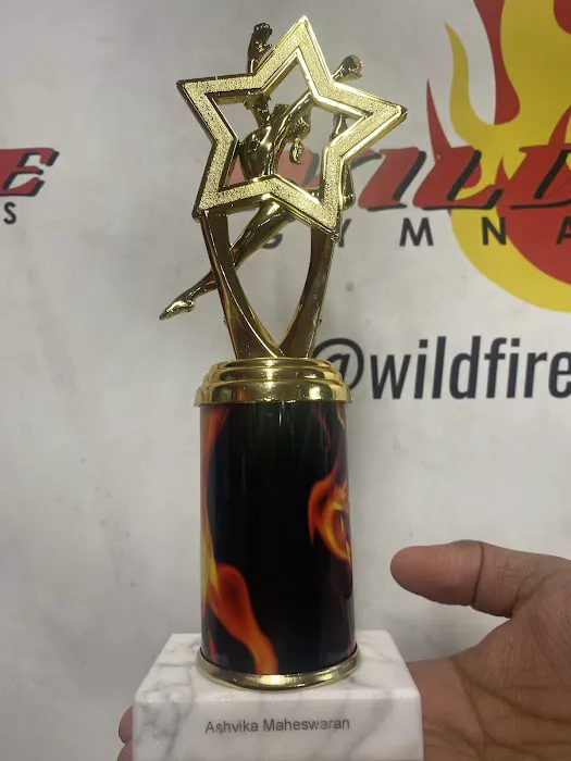 Wildfire Gymnastics Picture 6