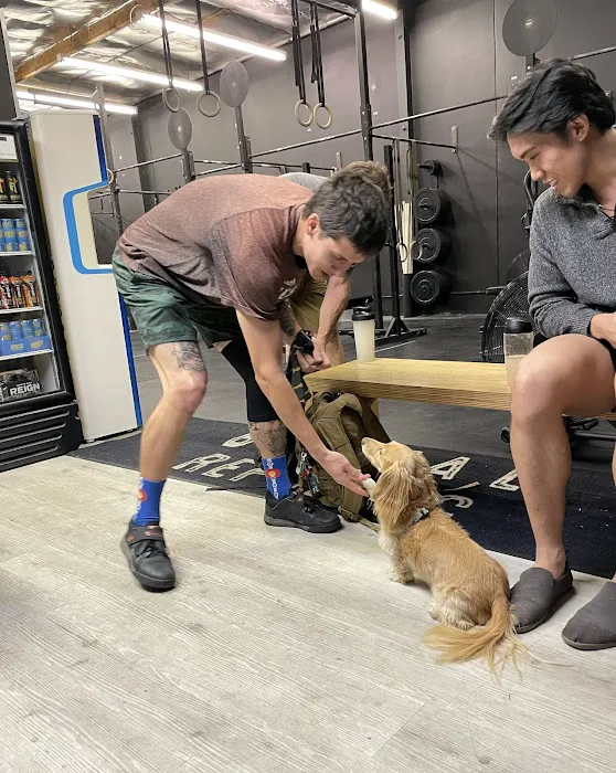 Iron Coast Fitness Picture 10