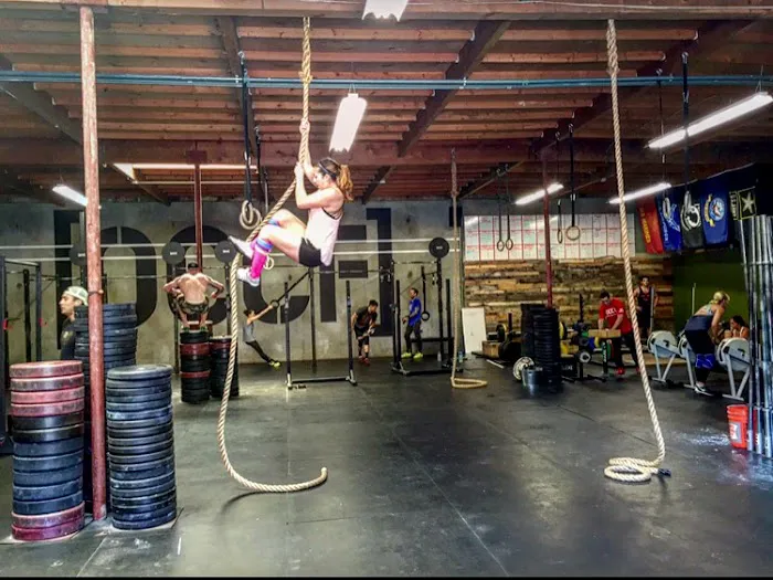 Brutal Republic Picture 2