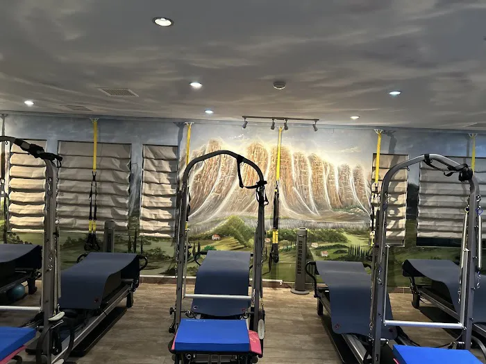 Full Body Pilates & Movement Therapy Picture 7