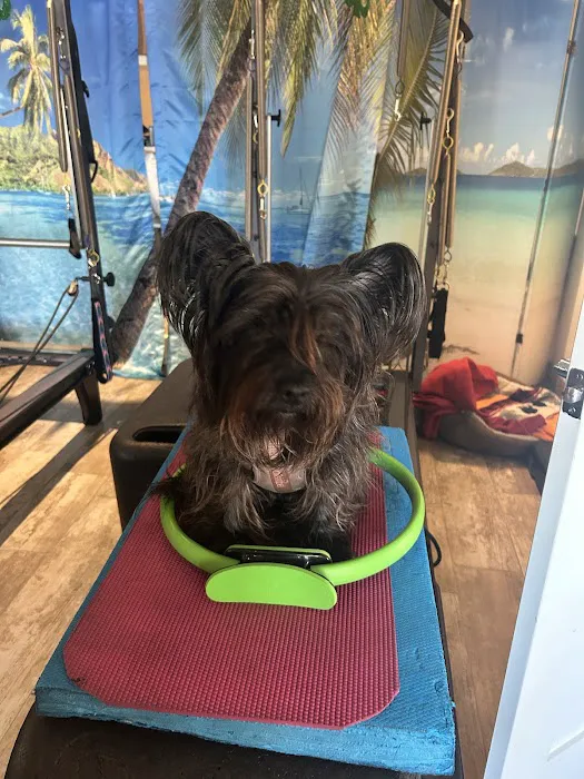 Full Body Pilates & Movement Therapy Picture 4