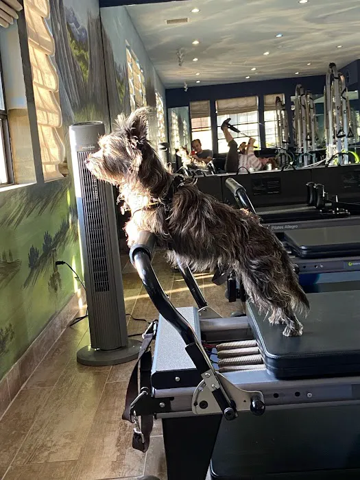 Full Body Pilates & Movement Therapy Picture 6