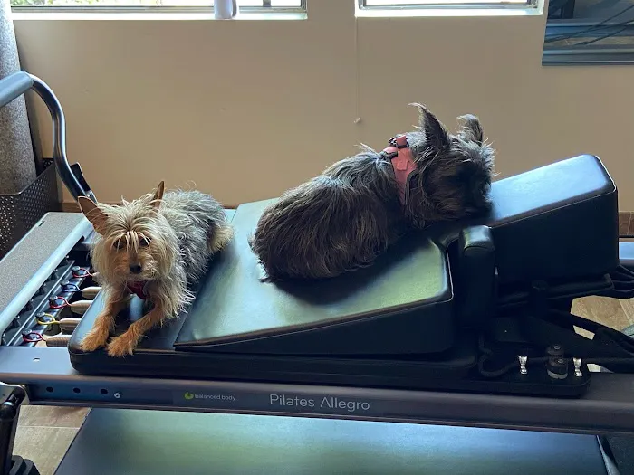 Full Body Pilates & Movement Therapy Picture 1