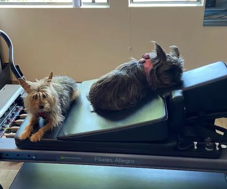 Full Body Pilates & Movement Therapy