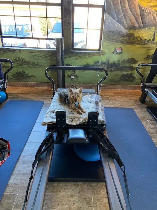 Full Body Pilates & Movement Therapy Picture 2