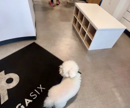 YogaSix Pasadena