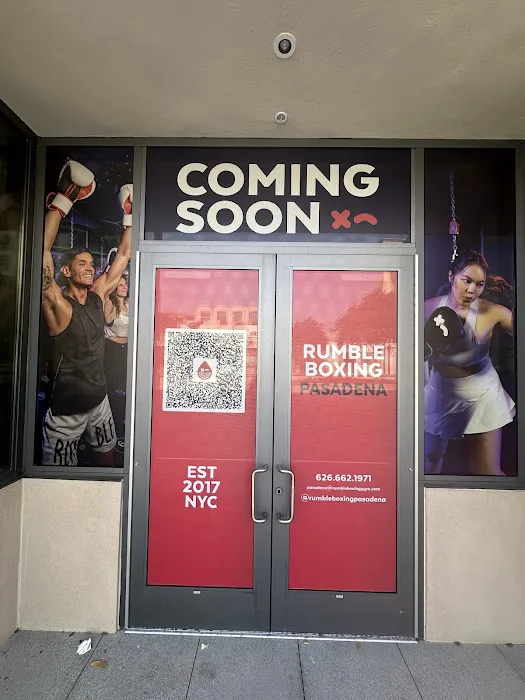 Rumble Boxing Picture 10