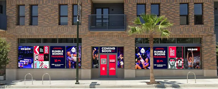 Rumble Boxing Picture 8