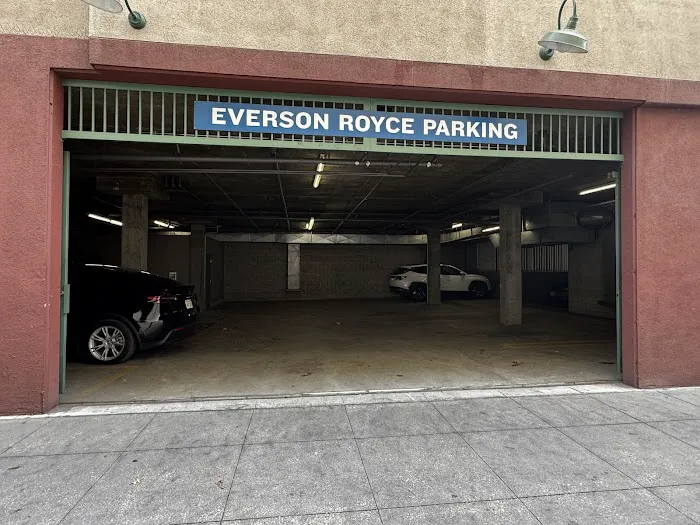 Immortals Boxing Picture 5