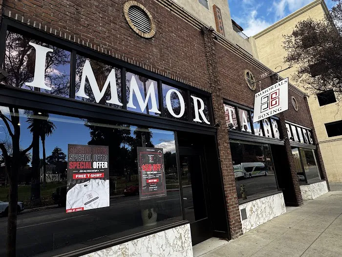 Immortals Boxing Picture 4