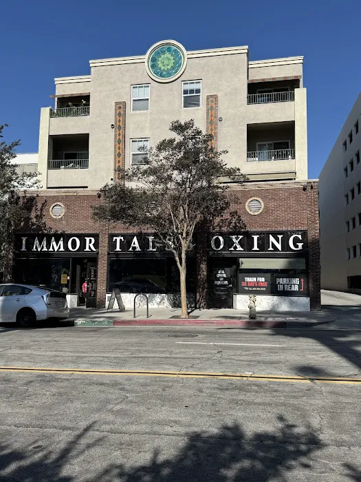 Immortals Boxing Picture 7