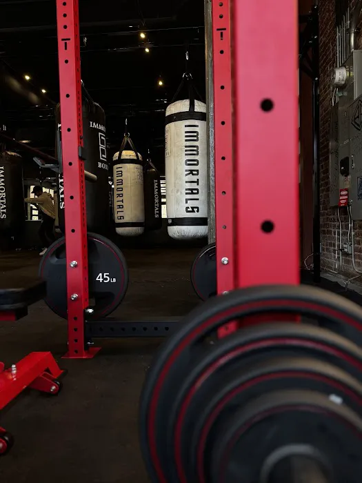 Immortals Boxing Picture 8