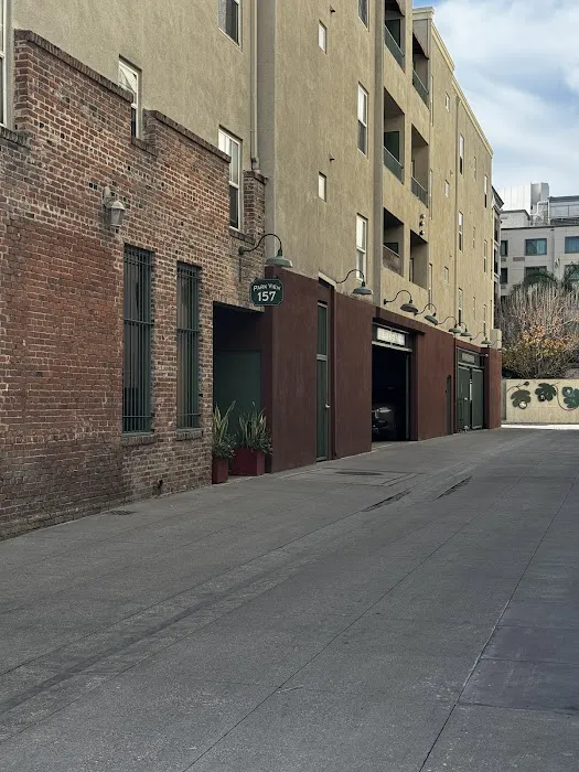 Immortals Boxing Picture 6