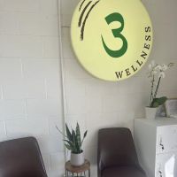 #3 Wellness Home LLC ico