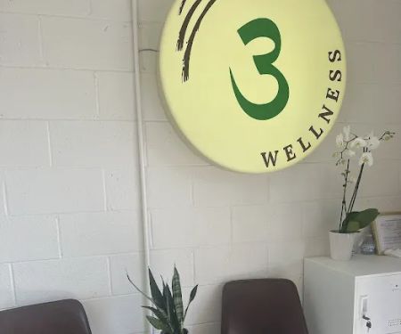 #3 Wellness Home LLC