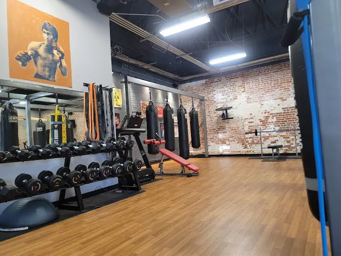 Crowned Boxing Picture 4