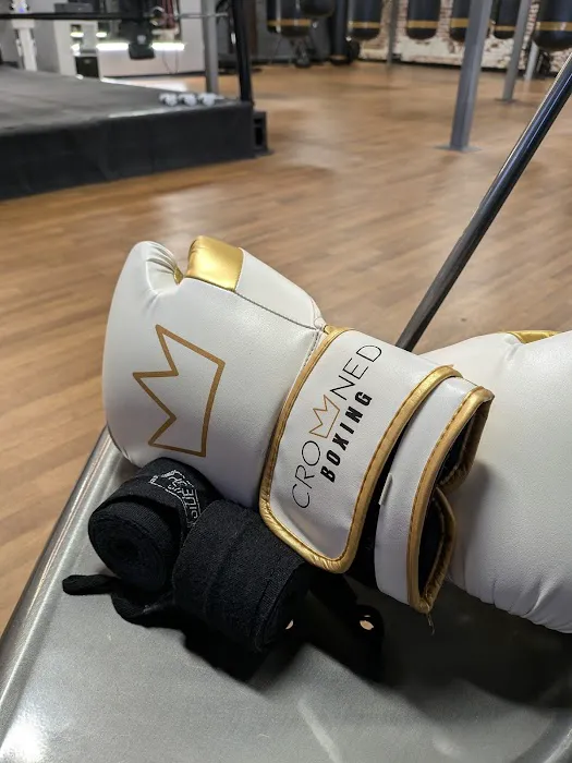 Crowned Boxing Picture 3