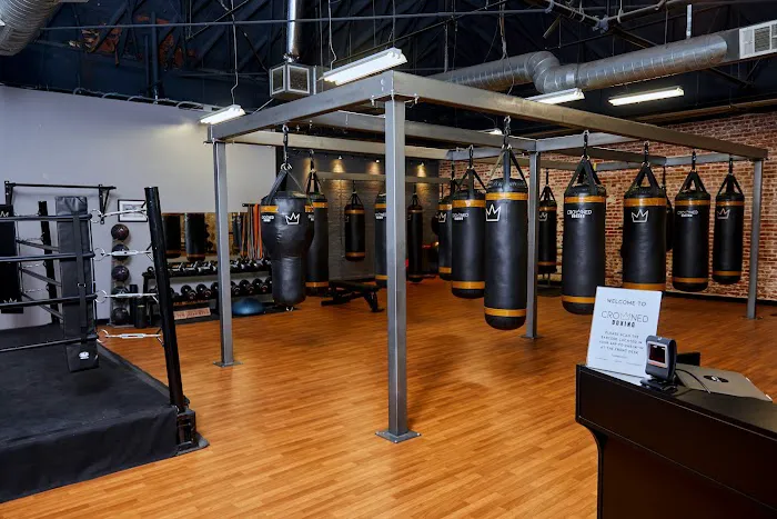 Crowned Boxing Picture 8