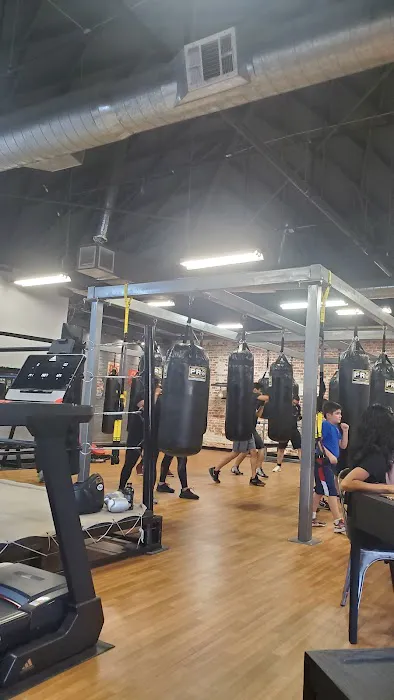 Crowned Boxing Picture 9