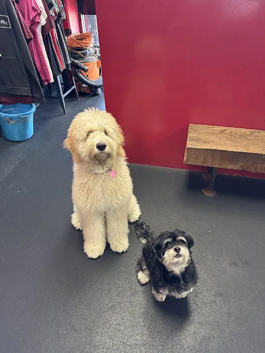 The Fitness Prescription Picture 7