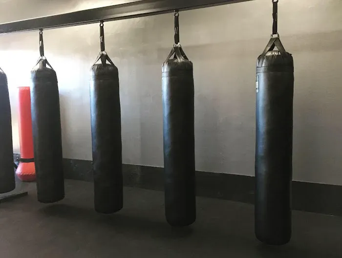 The Fitness Prescription Picture 2