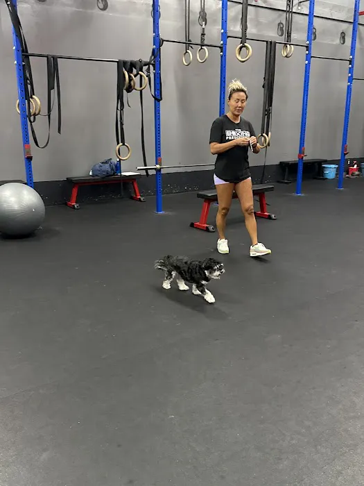 The Boxing Prescription Picture 2