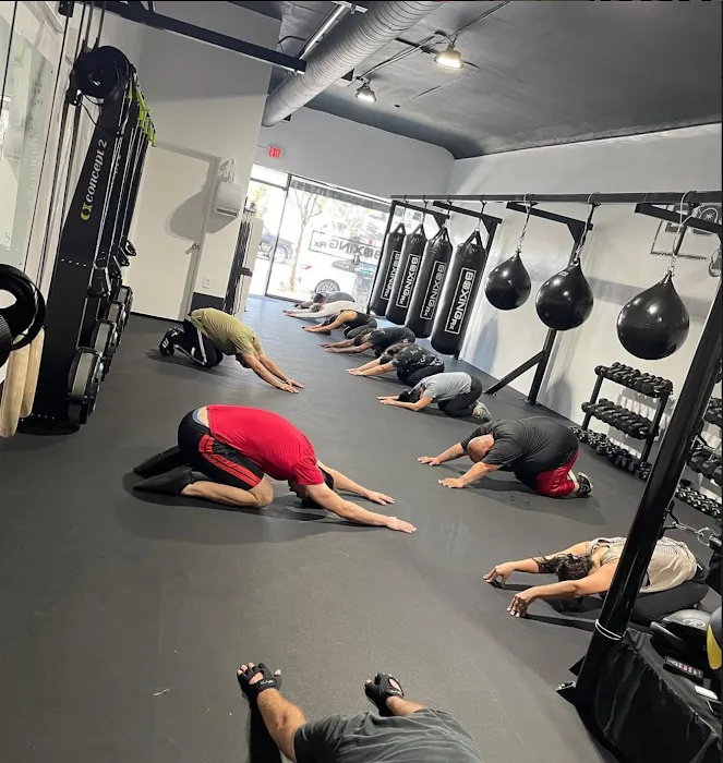 The Boxing Prescription Picture 6