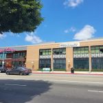 AHF Public Health Division