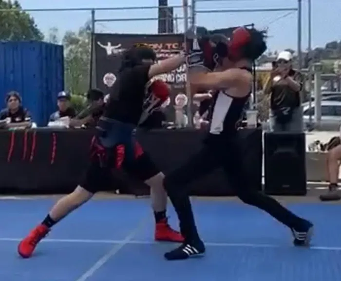 The Orion Boxing MMA Gym Picture 2