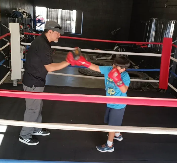 The Orion Boxing MMA Gym Picture 3