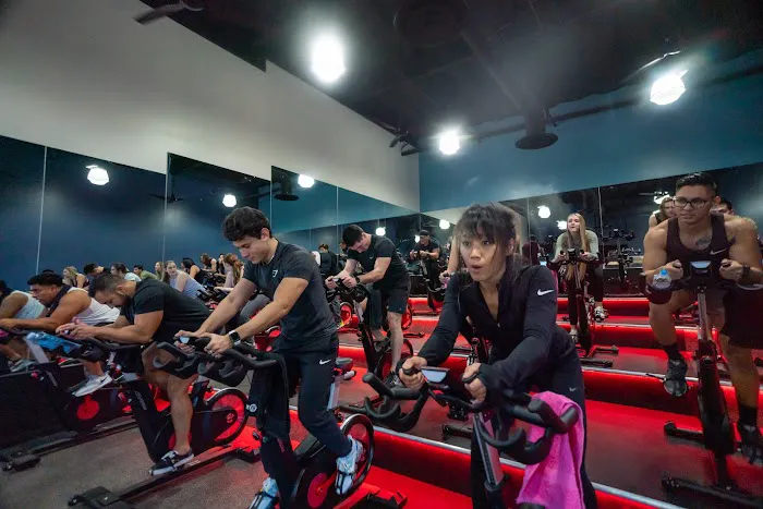 Fitness 19 Picture 5