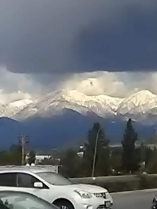 LA Fitness Picture 4