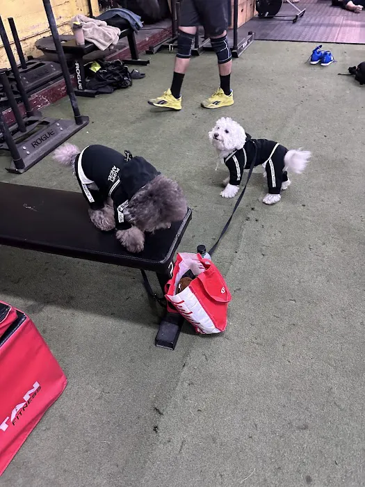 K2 CrossFit Picture 5